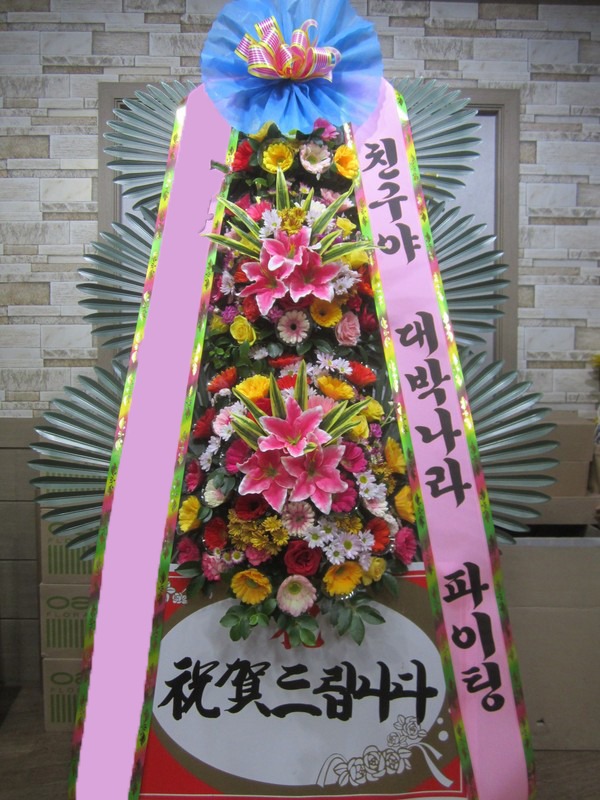 ���� 3��