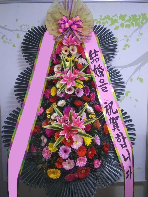 ���� 3��