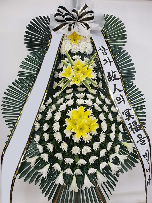 ���� 3��