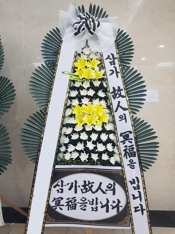 ���� 3��