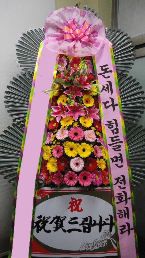 ���� 3��