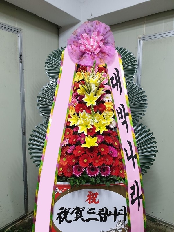 ���� 3��