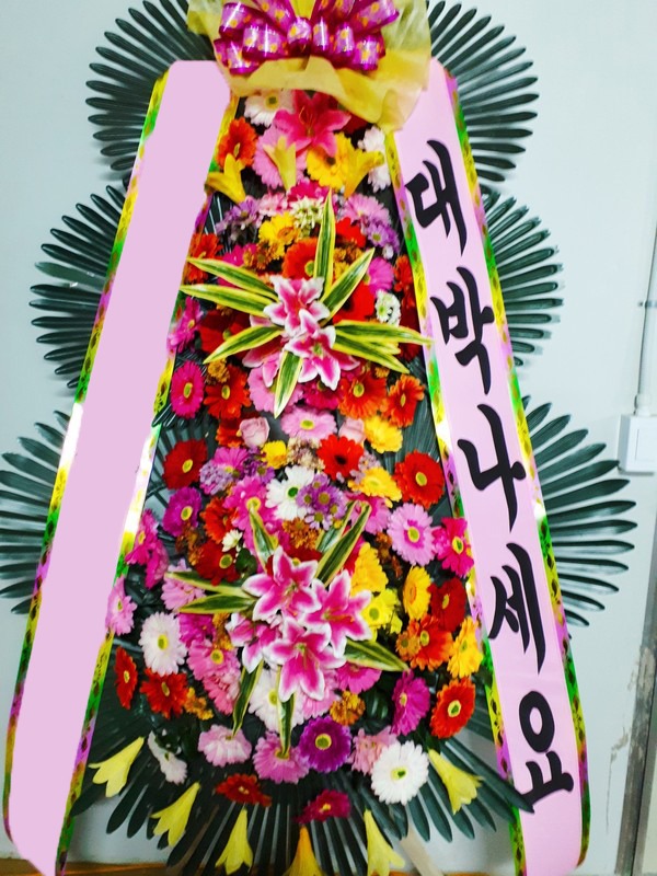 ���� 3��