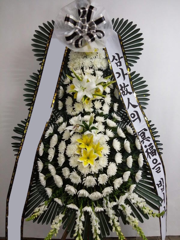 ���� 3��