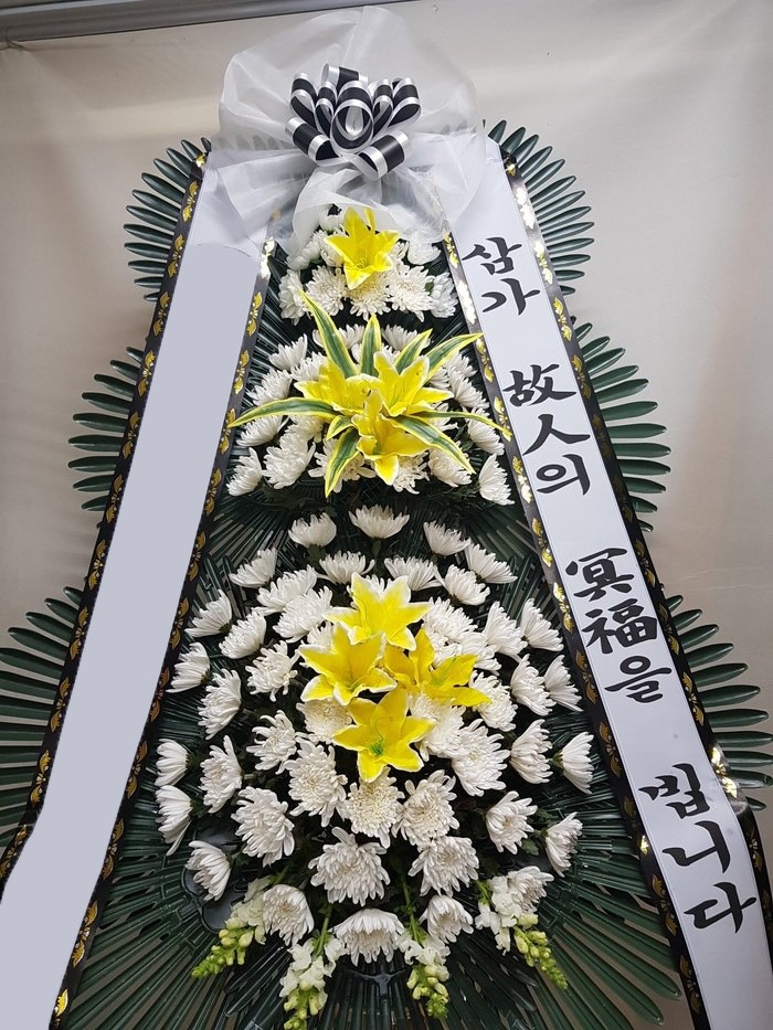 ���� 3��