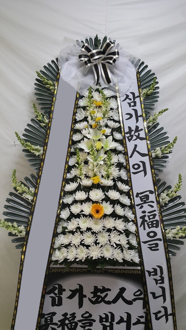 ���� 3��