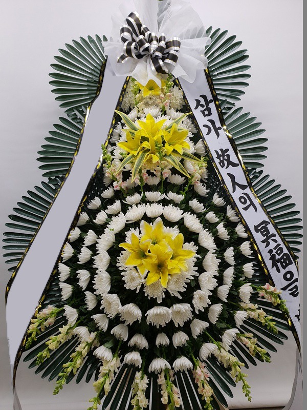 ���� 3��