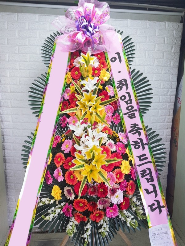 ���� 3��