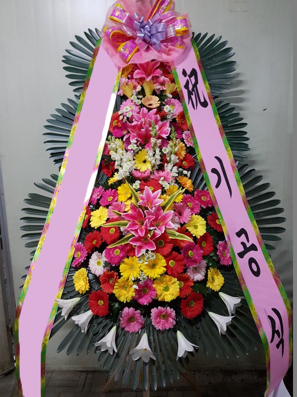 ���� 3��