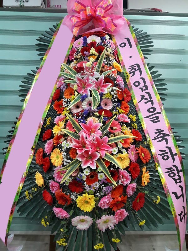 ���� 3��