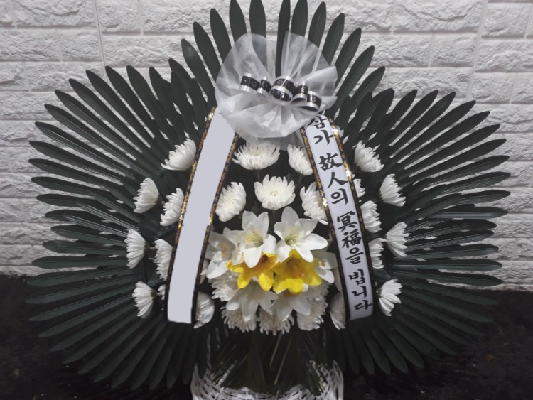 �����ٱ���