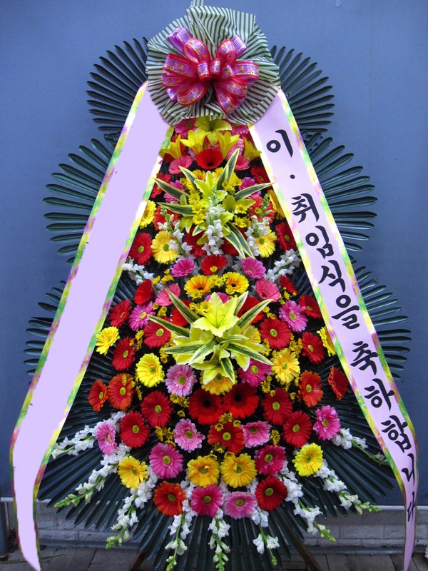 ���� 3��