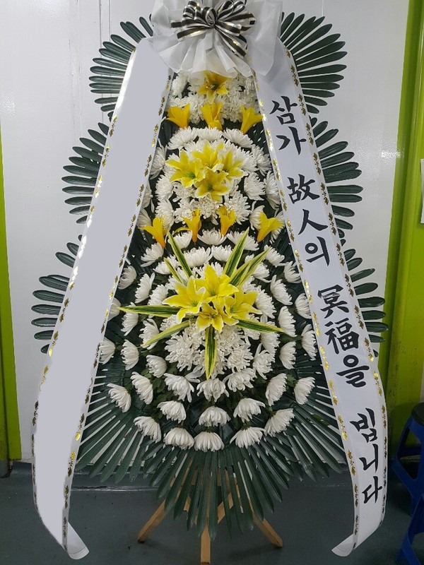 ���� 3��