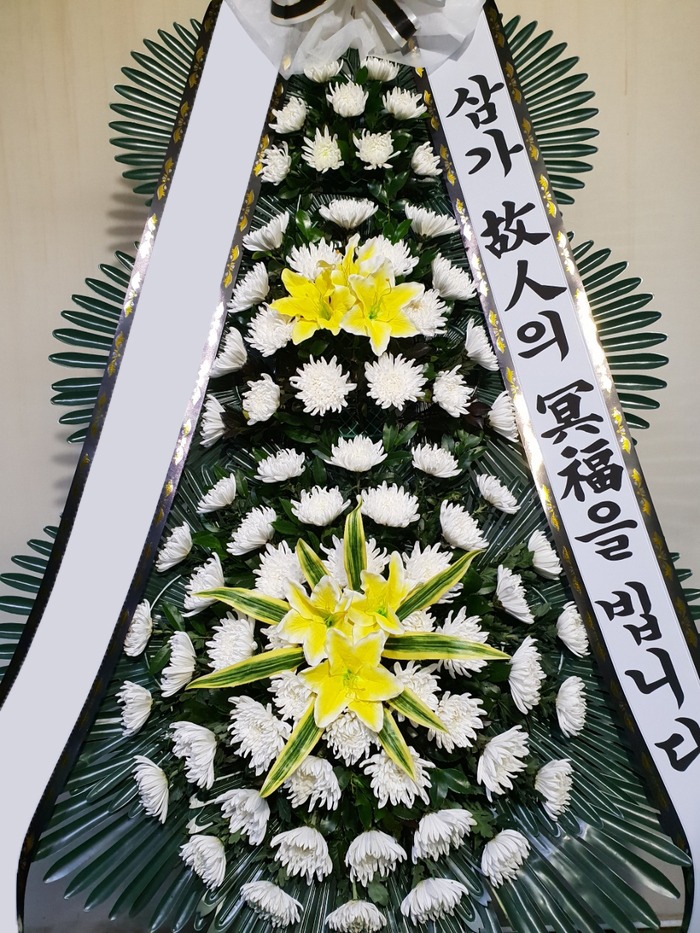 ���� 3��