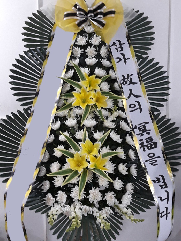 ���� 3��