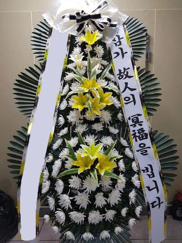 ���� 3��