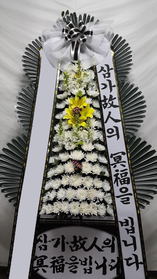 ���� 3��