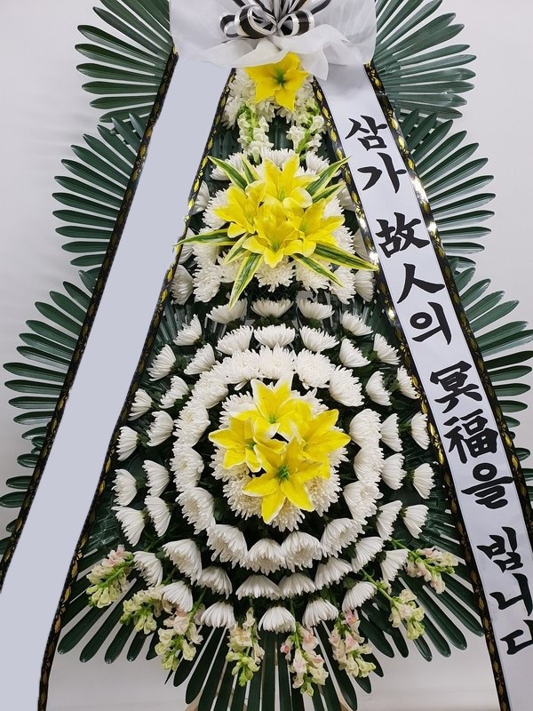 ���� 3��