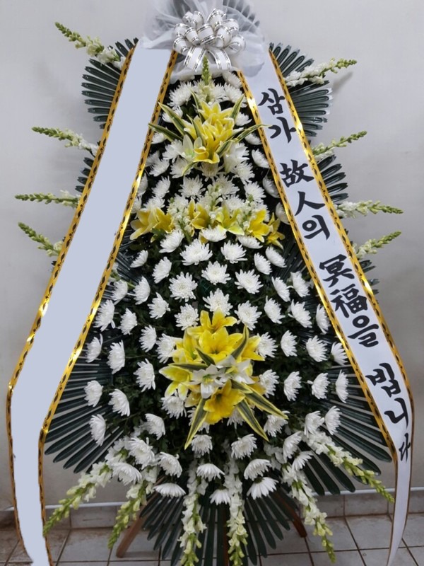 ���� 3��