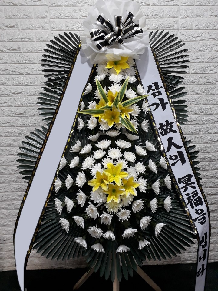 ���� 3��