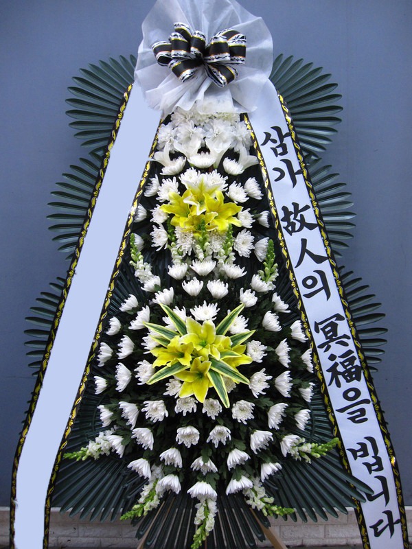 ���� 3��