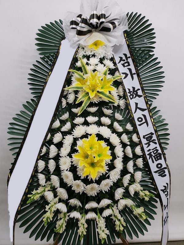 ���� 3��