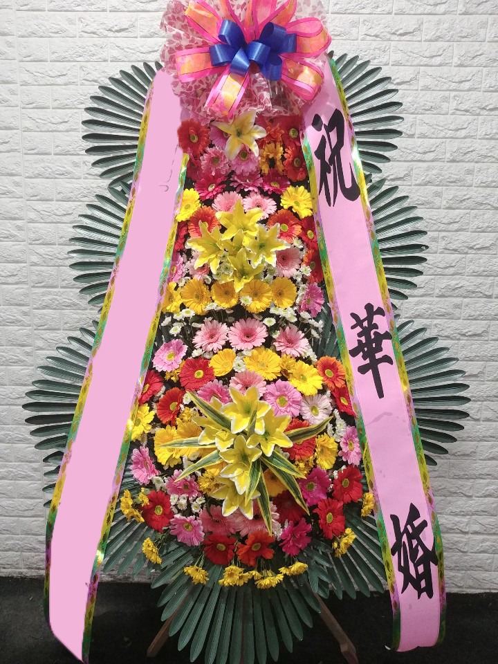 ���� 3��