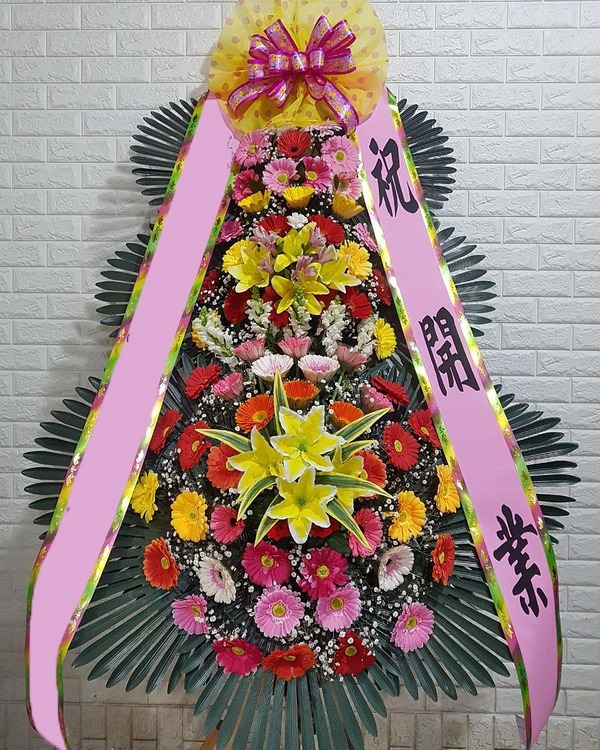 ���� 3��