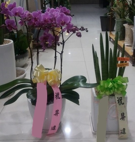 ȣ����&����Ű