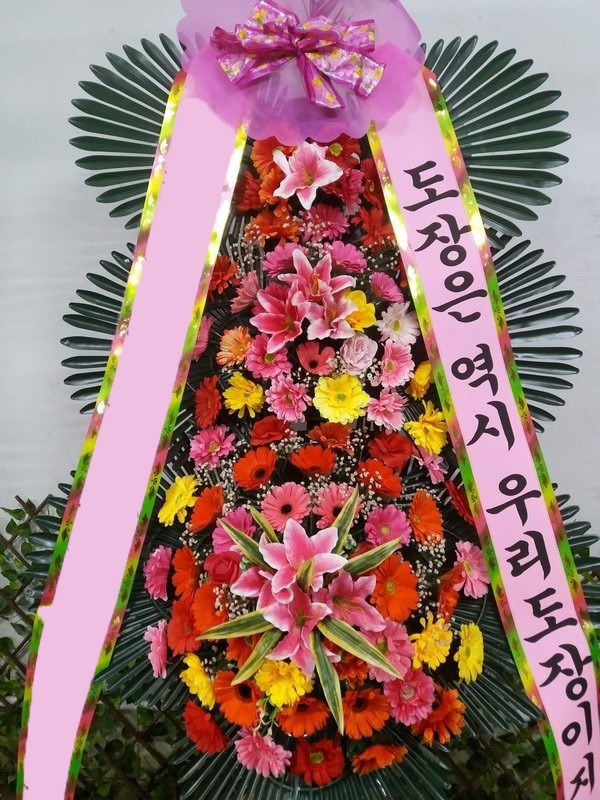 ���� 3��