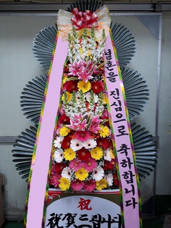 ���� 3��