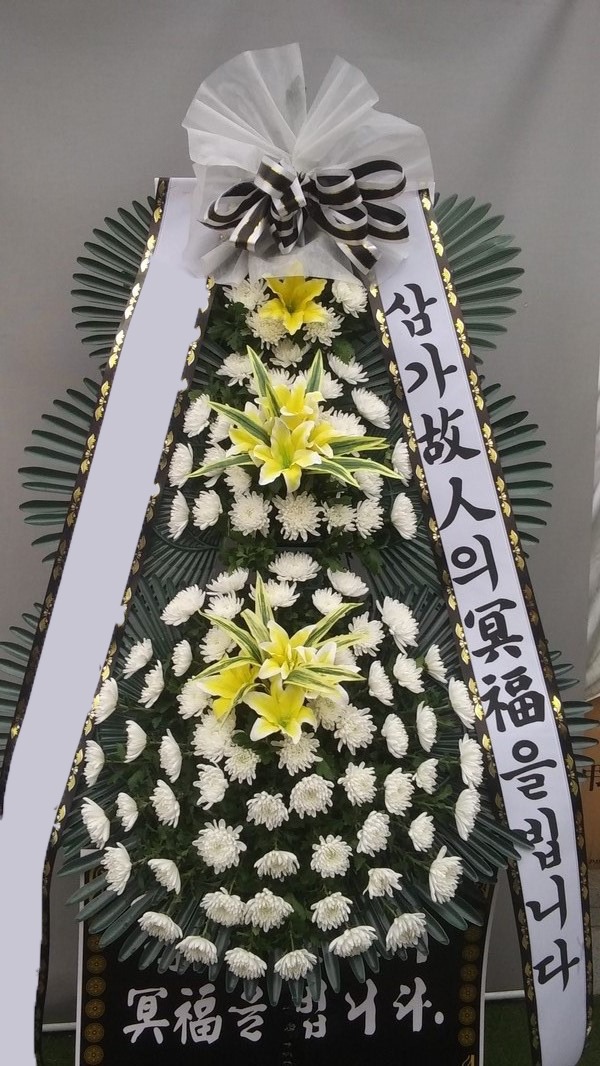 ���� 3��