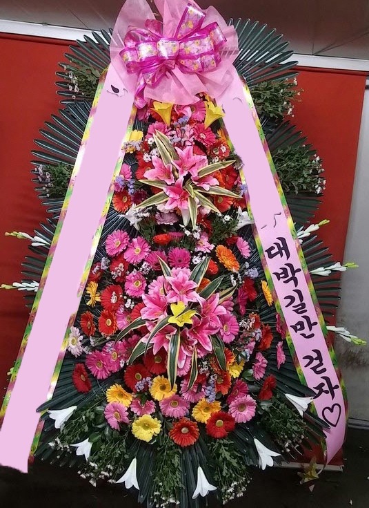 ���� 3��