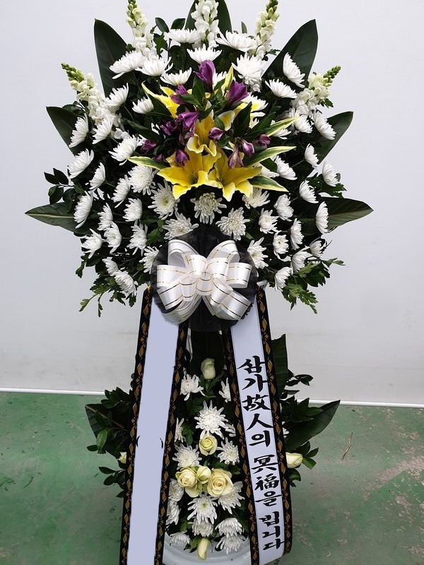 ���� ������