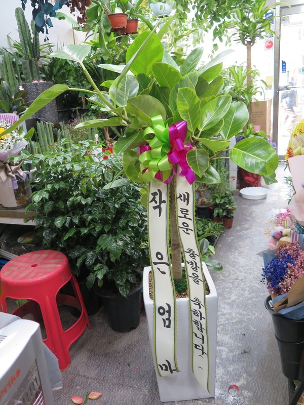 ������������