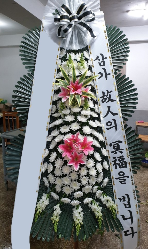 ���� 3��