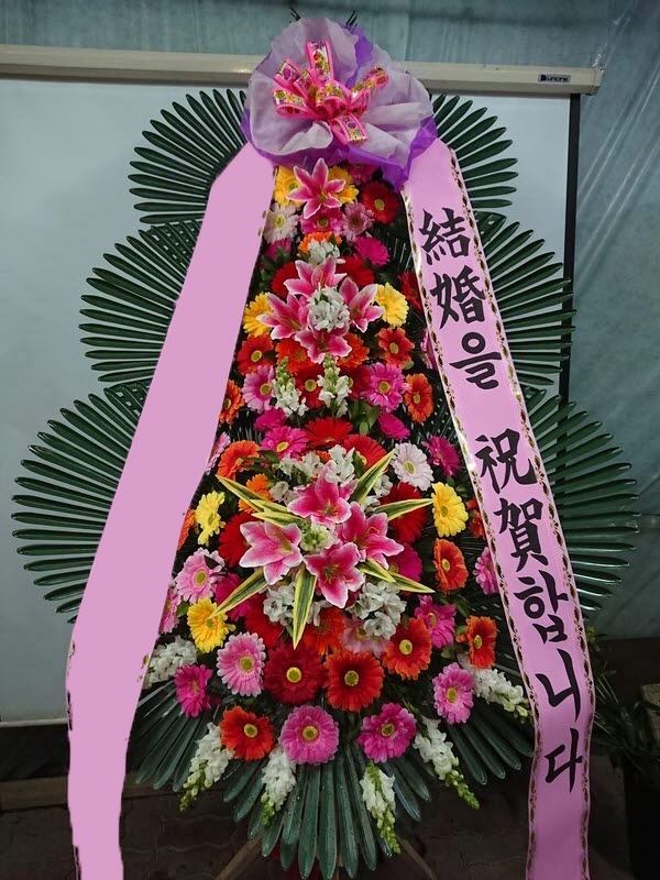 ���� 3��