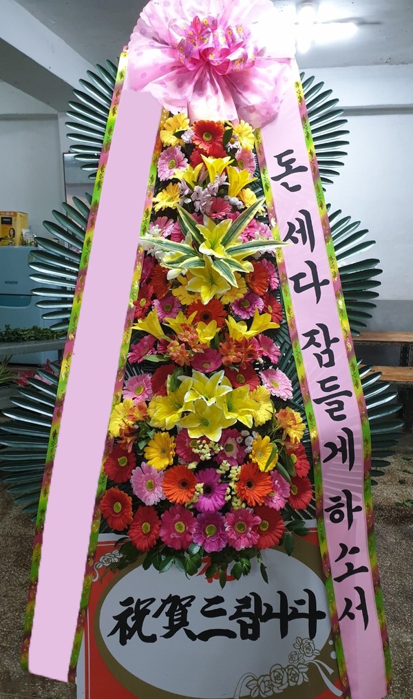 ���� 3��