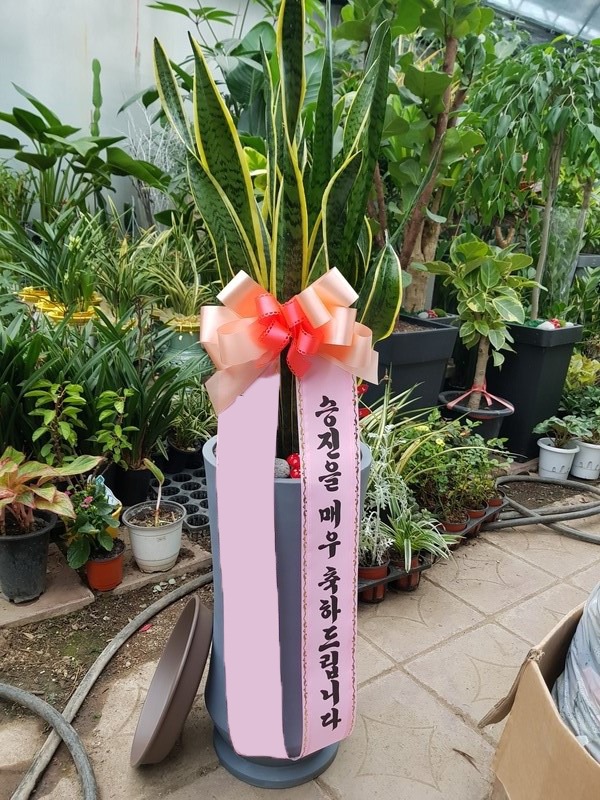 �꼼������