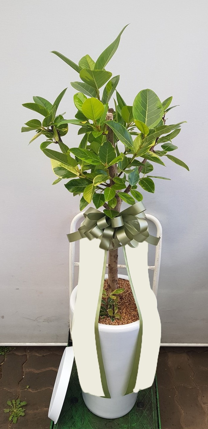 ������������