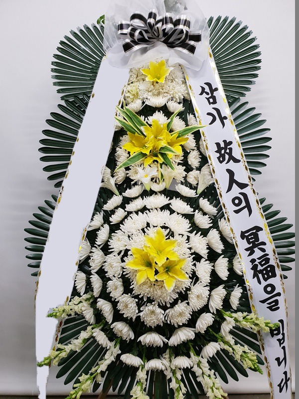 ���� 3��