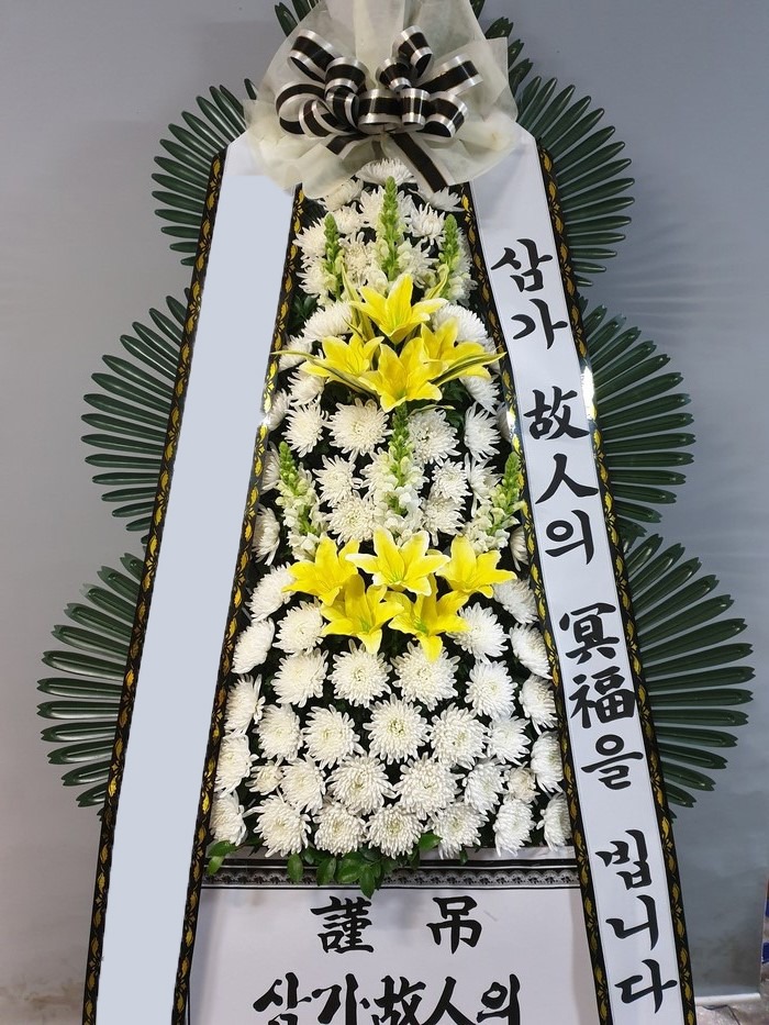 ���� 3��