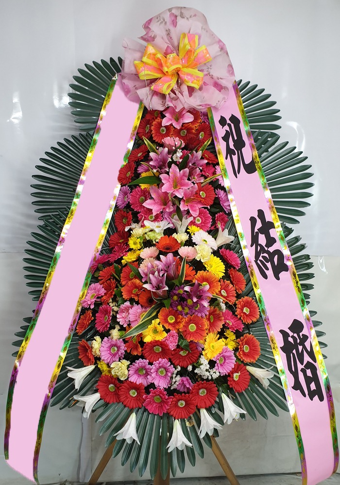 ���� 3��