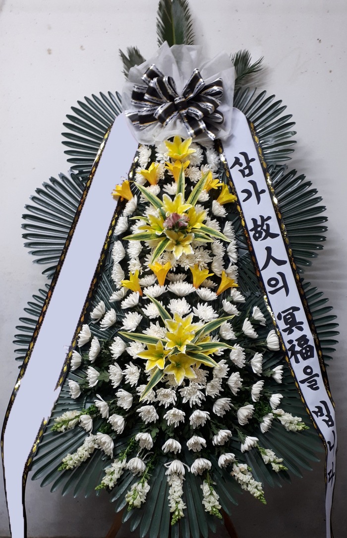 ���� 3��