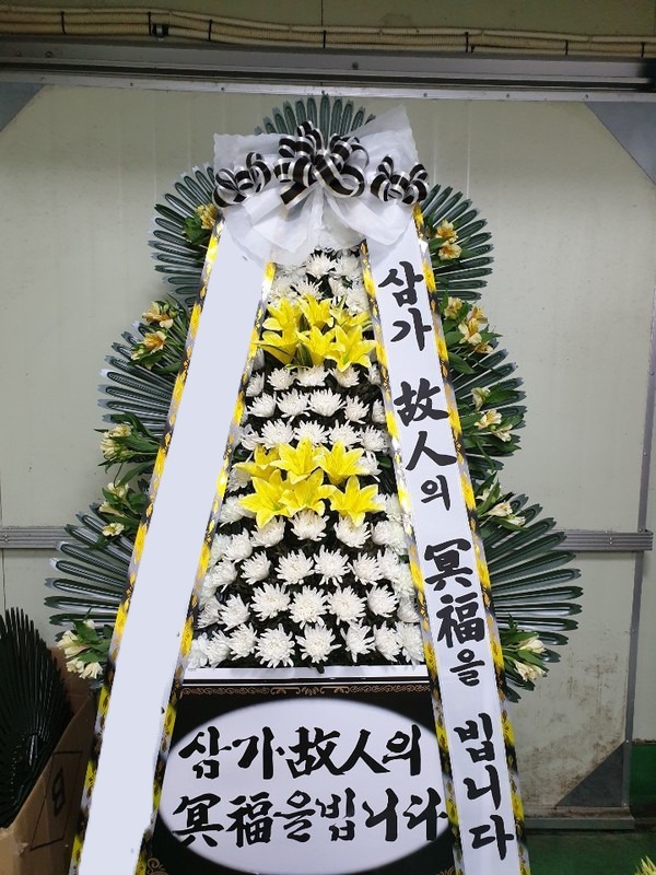 ���� 3��