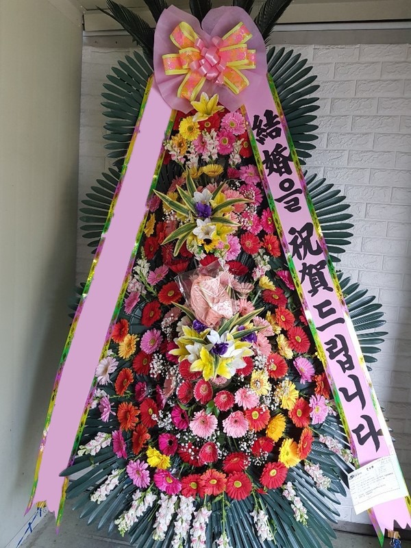 ���� 3��