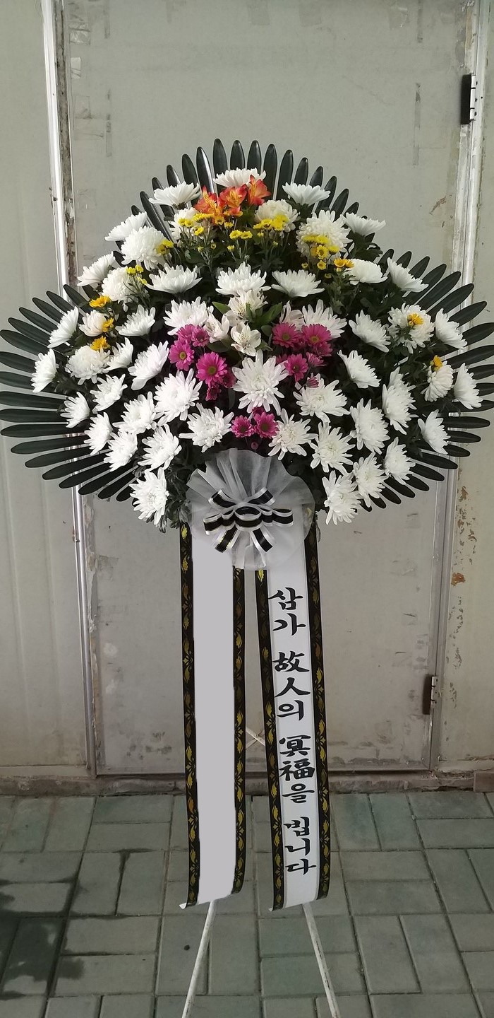 ���� ������