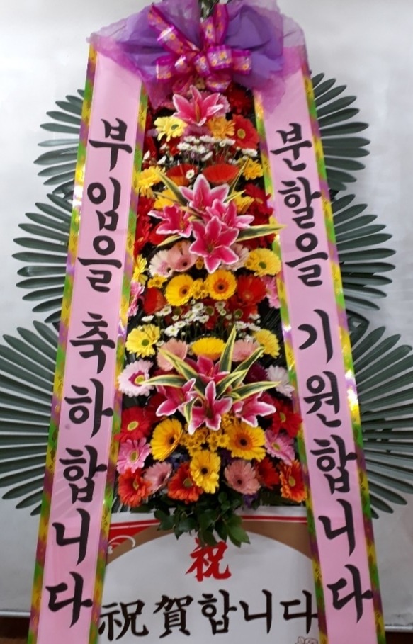 ���� 3��