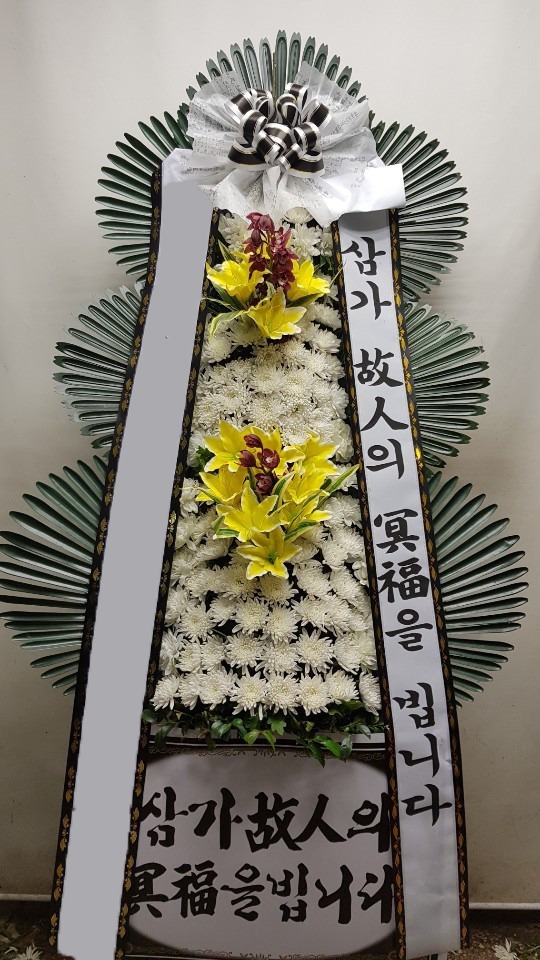 ���� 3��