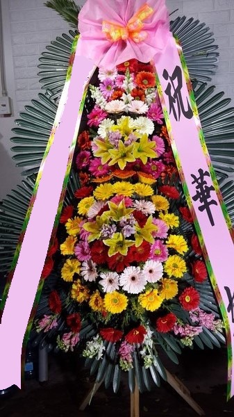 ���� 3��